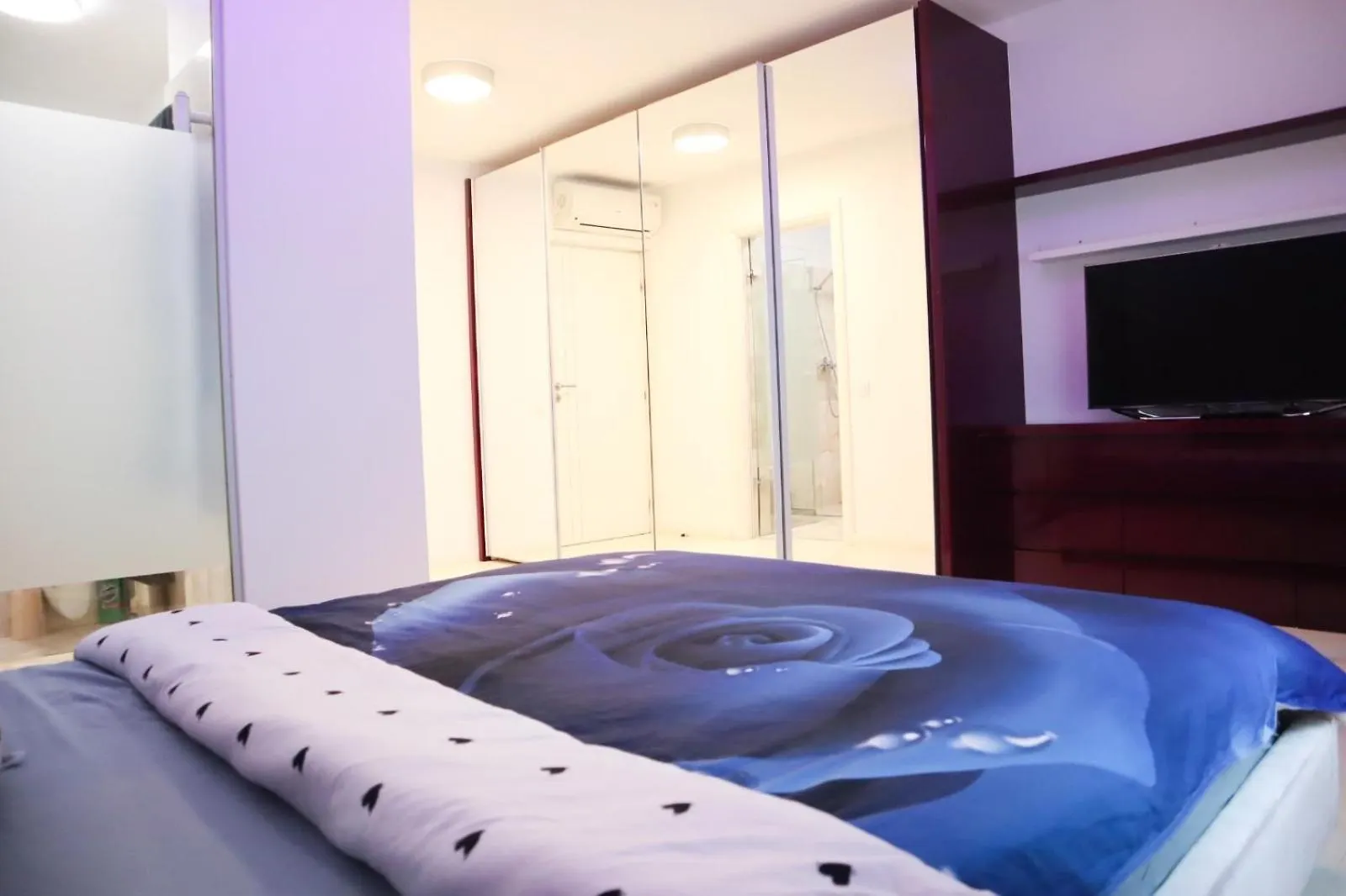 Central Apartament Bulevardul Decebal Βουκουρέστι 0*,