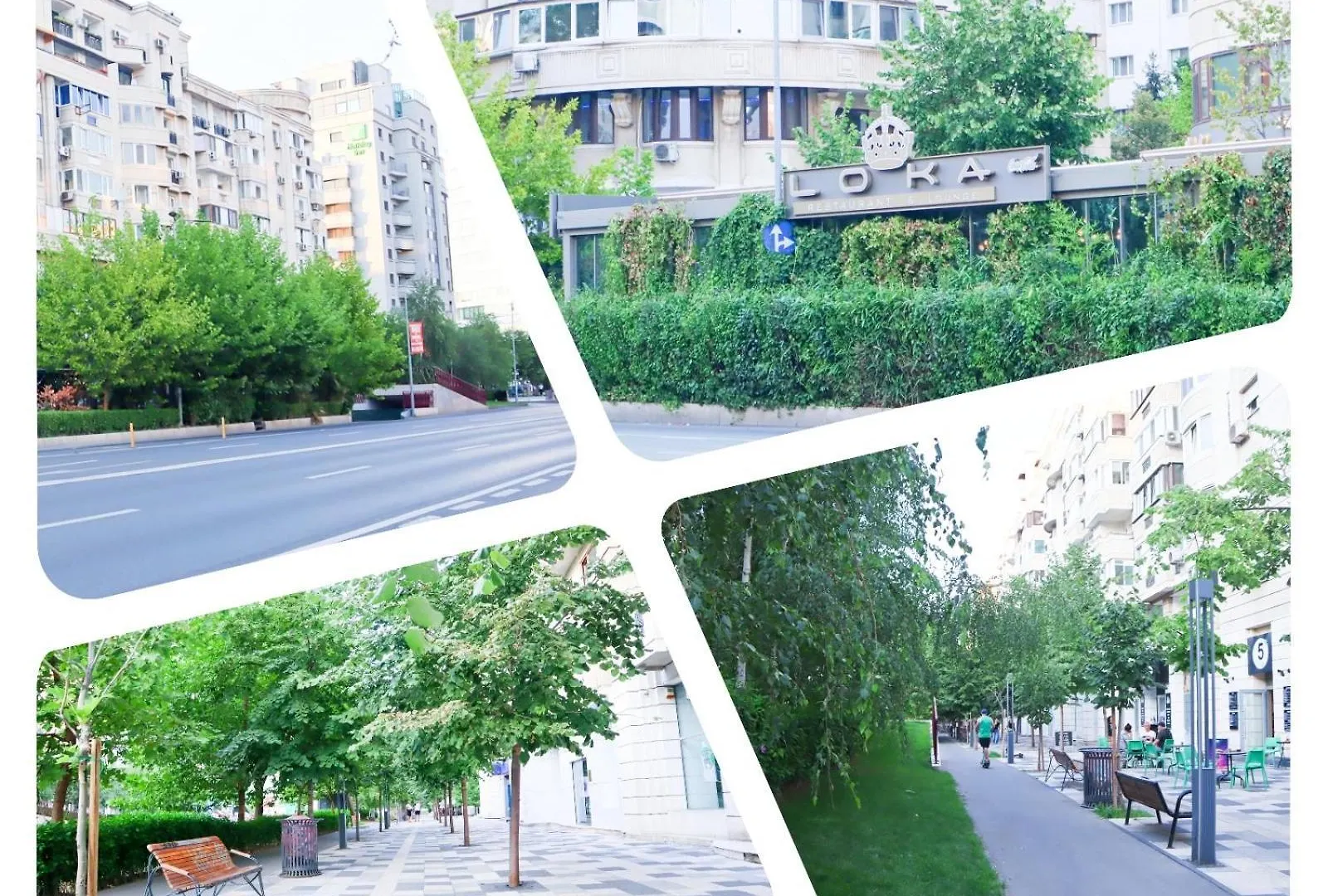 Apartment Central Apartament Bulevardul Decebal Bucharest